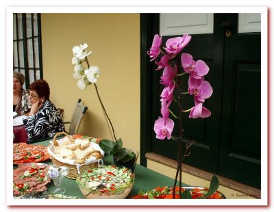Orchids on the Table.jpg
