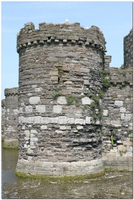 Beaumaris Castle  0826.jpg