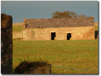 Wetton barn