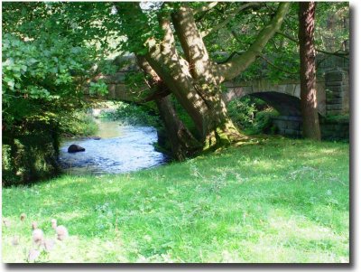 Rowsley Bridge, Derbyshire;Sept