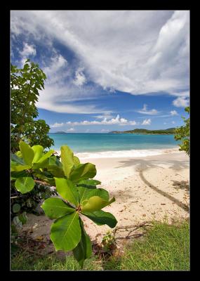 Best of St. John, USVI