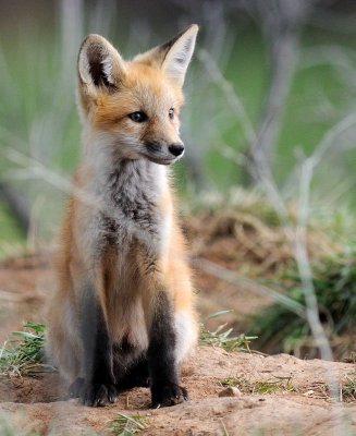 kits24.jpg