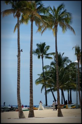 Hawaii 01 - Waikiki Wedding