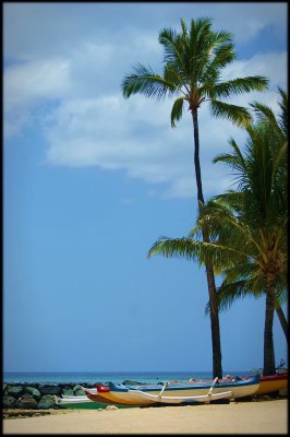 Hawaii 02 - Waikiki
