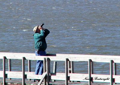 Taking pictures of Pelicans at Cedar Key, Florida