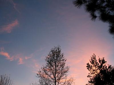 Sunset from our front yard - March -