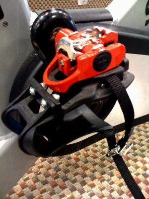 LightShapephoto2 copy.jpg