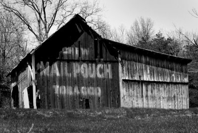 9228 bw web.jpg