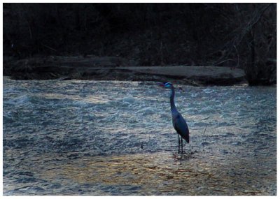 april 8GBH