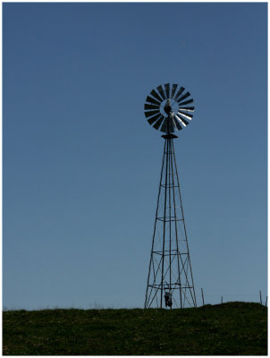 windmill web.jpg