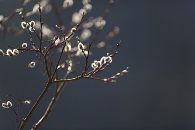 g3/80/513280/3/112280371.hZoQgdt5.jpg