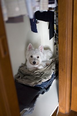 IMG_8183.jpg