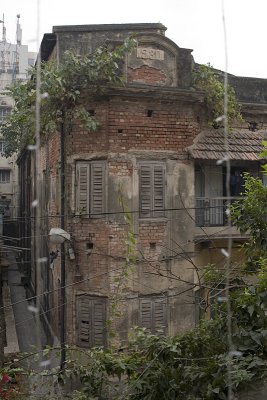 IMG_8522.jpg