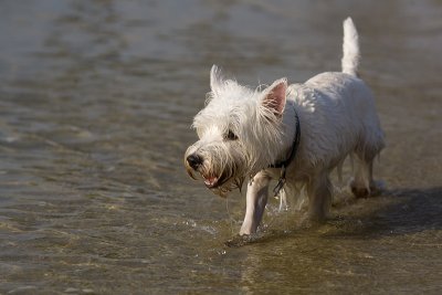 IMG_9595.jpg