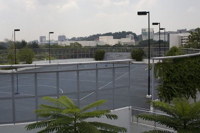 IMG_9727.jpg