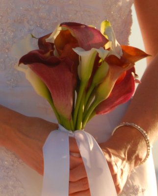 Mix of mini-calla lilies. Photo by Cecilia Dumas