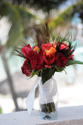 Red, orange and fushia roses with peacock feathers.