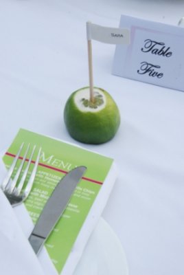 Custom Menu printed by couple, lime seating flag and table number tent by us, Photo by Cecilia Dumas, www.ceciliadumas.com