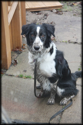 BEFORE a bath !