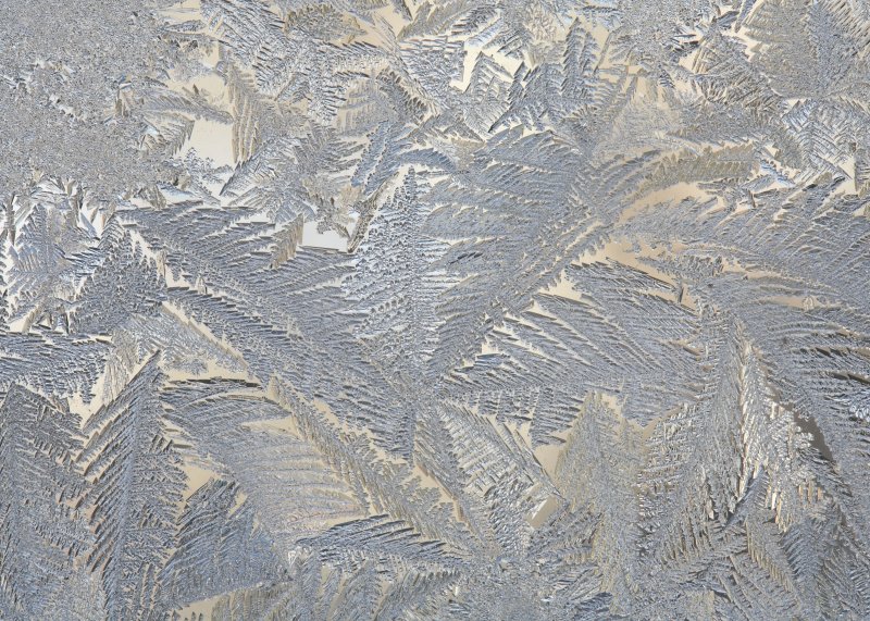 Ice Ferns