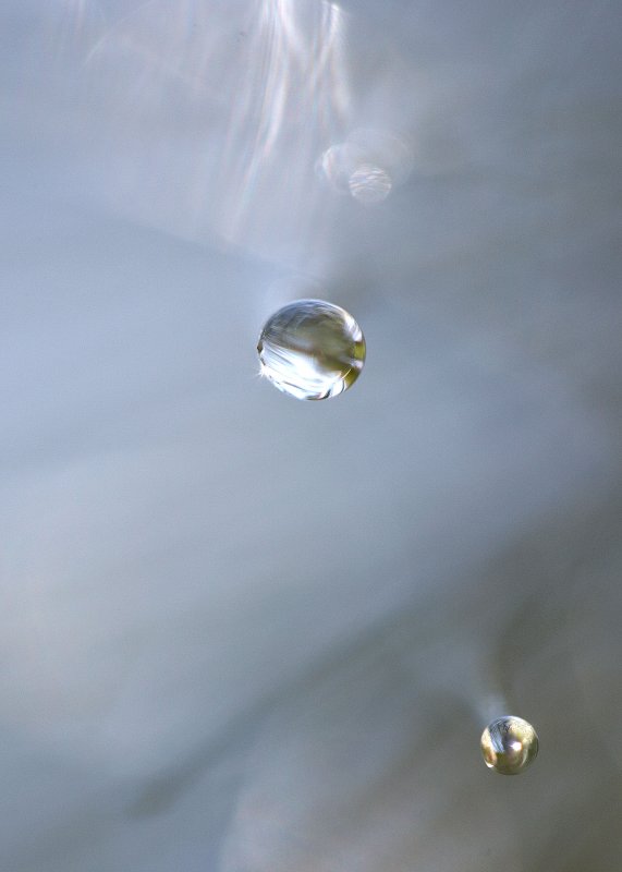 Needle Drops 13