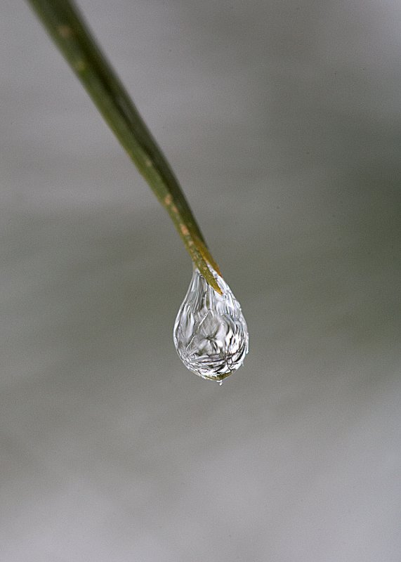 Needle Drops 14