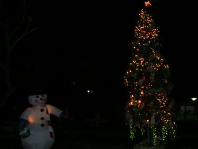 Christmas tree in the Church park