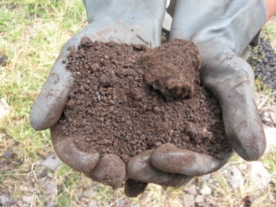 the soil after the earthworms poop the hulls, very fertile soil used at the farm