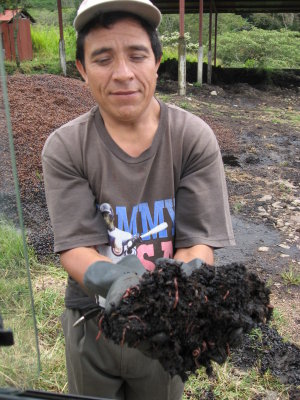 The person who takes care of the earthworms and turns the soil