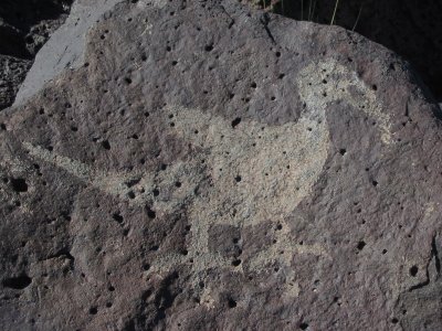 Petroglyph of a bird