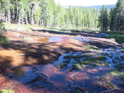 Mineral Spring