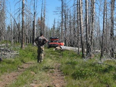 And off the trail it goes
