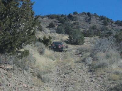 There goes Rocky.  I must hurry to catch up!