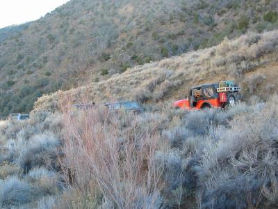 Rigs in the brush