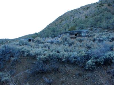 More cabins