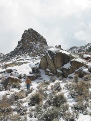 Rocky in the rocks