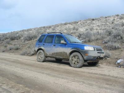 Muddy Freelander