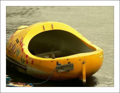 wooden watershoe