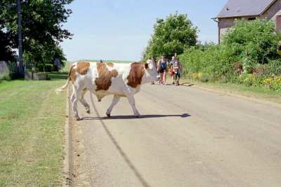 grootkamp08_171_teus_08_079_204.jpg