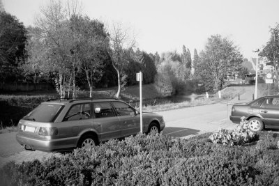 T-MAX 100
