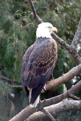 Zoo 09 049.jpg