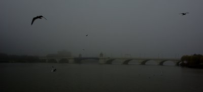 Dec 09 067.jpg