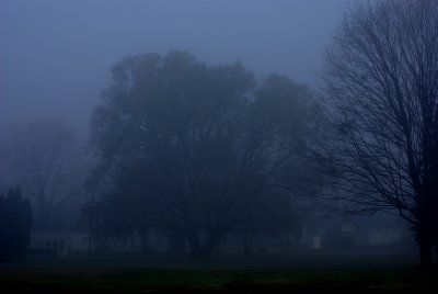 Dec 09 015.jpg
