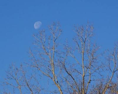 moon over Maumee