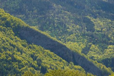 DSC_2660.jpg