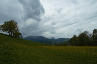 DSC_2475.jpg