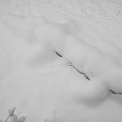 076.jpg