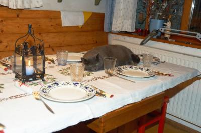 Xmas cat: The dinner