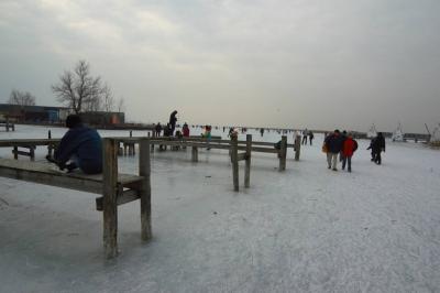 Ice on Neusiedlersee