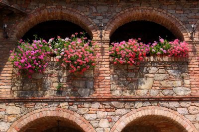 Hanging Flowers